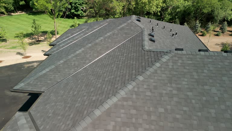 Best Roof Moss and Algae Removal  in Belle Isle, FL