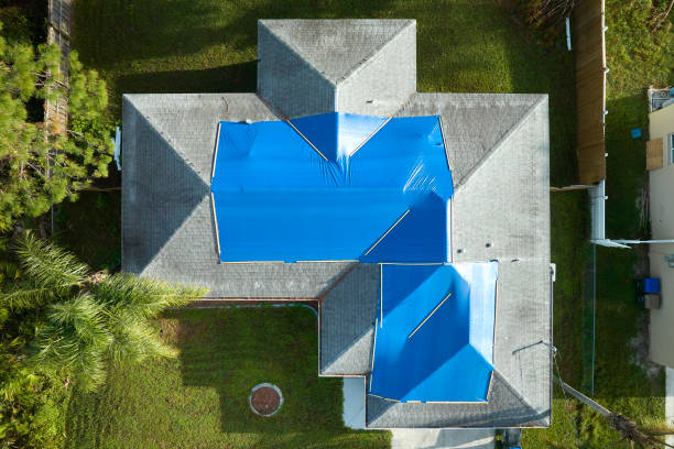 Best Roof Ventilation Installation  in Belle Isle, FL