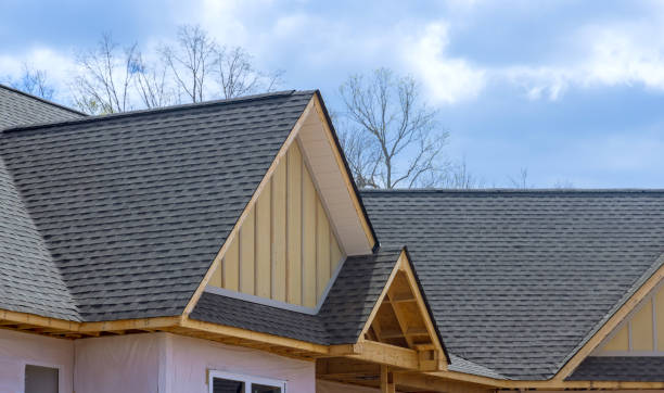 Best Sheet Metal Roofing  in Belle Isle, FL