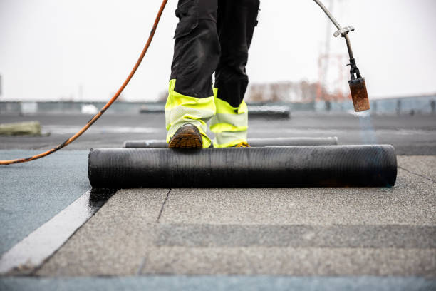 Best Solar Panel Roofing Installation  in Belle Isle, FL